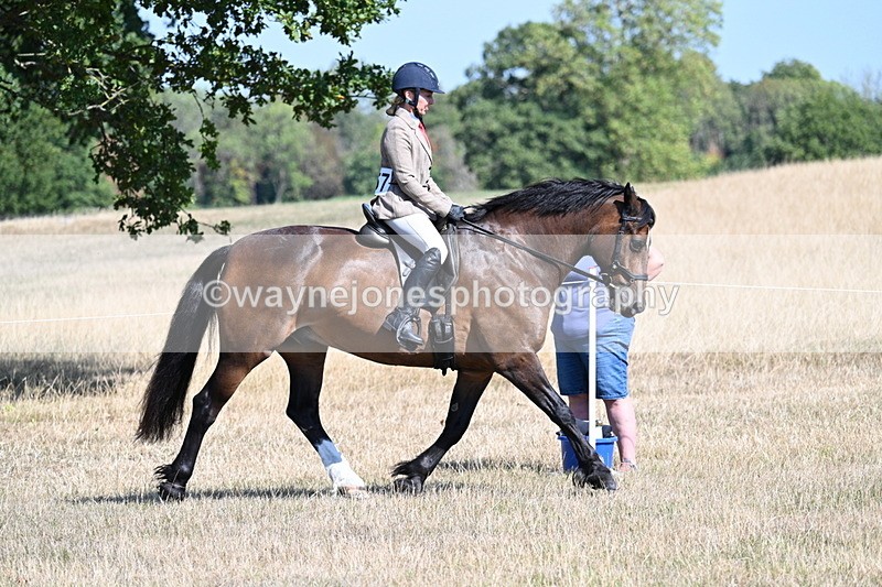 WJ7_3898 - Class 9 Mountain & Moorland Ridden