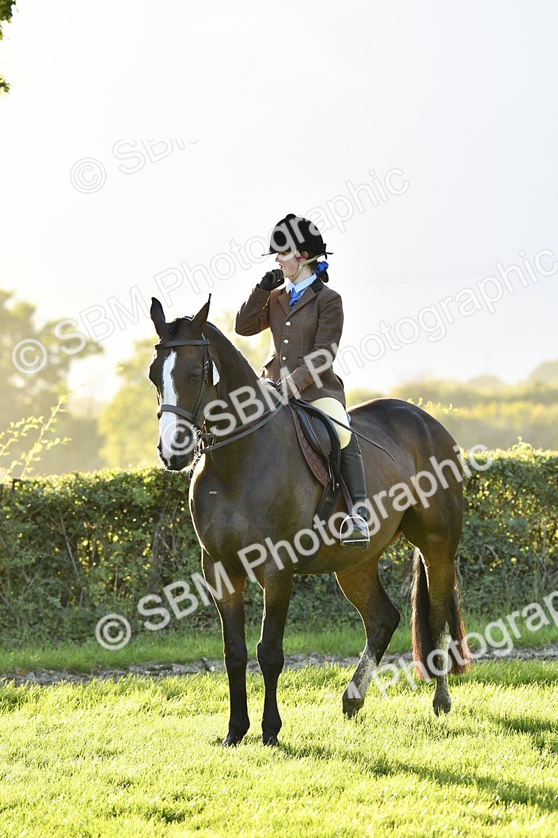 SBM_53588 - S14 - Riding Club Horse