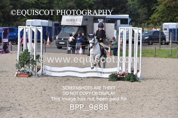 BPP_9888 - CLASS 3 Derby Show Jumping 40CM