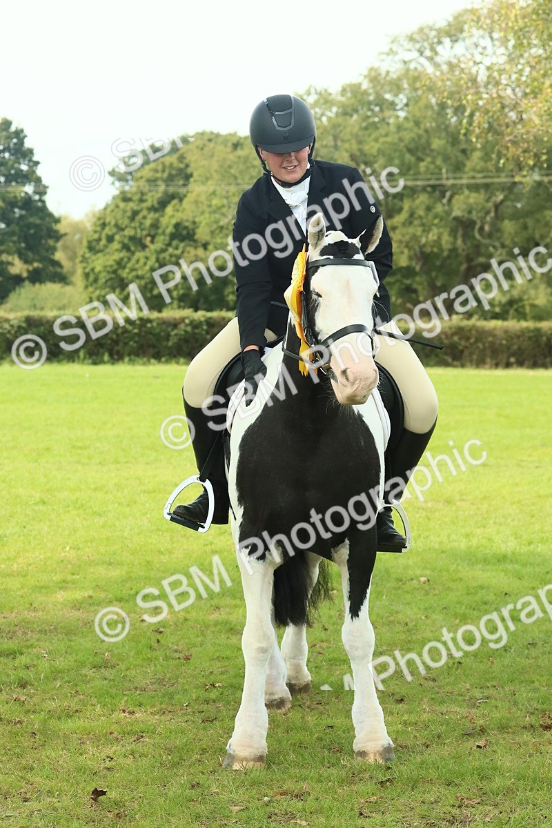 SBM_66792 - S34 - Rehabilitated Rescue Horse & Pony In Hand & Ridden