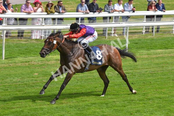 yr09072021r2-22 - Race 2: 2.40pm William Hill Summer Stakes