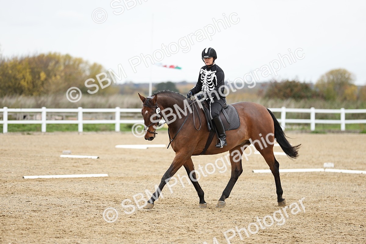 SBM_003900 - Class 9-12 - Novice 2 Elementary 3