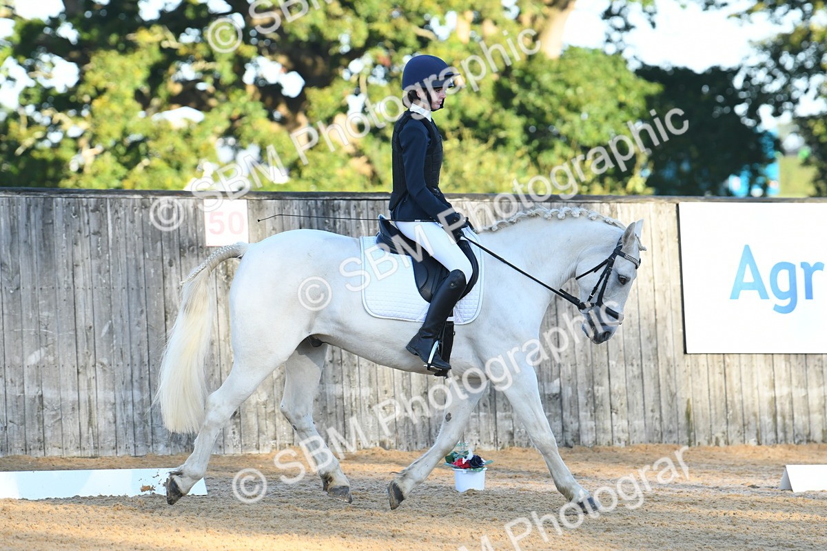 SBM_14253 - D4 - Small Tour Championship - Intro B