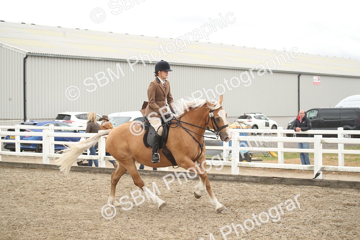 SBM_18309 - Class 509a - Working Veteran - 80cm (15-19)