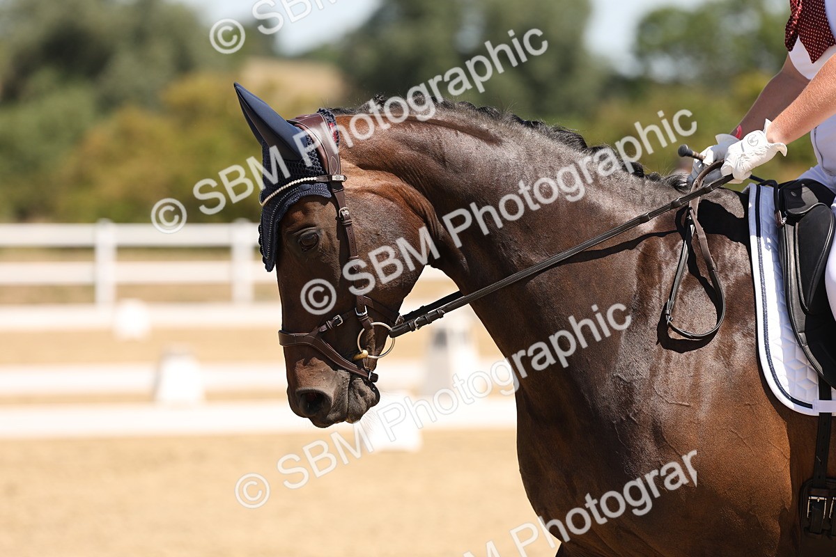 SBM_002099 - Elementary 4 Warm Up