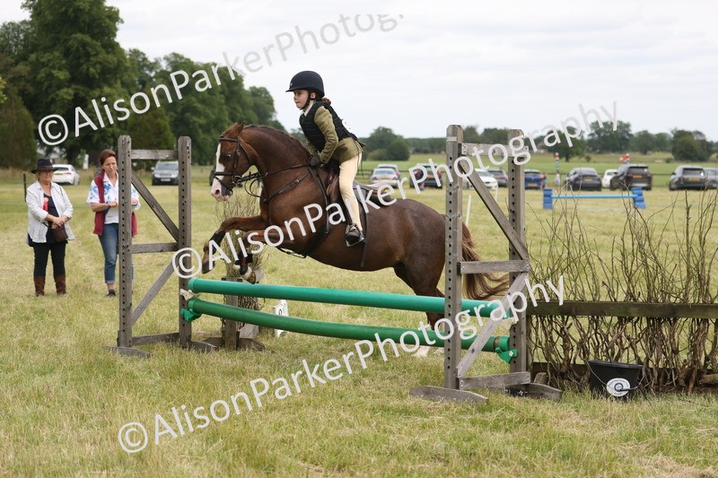 20260614-3013 - Class 22 - Open Working Hunter