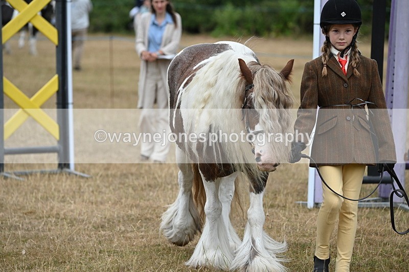 WJ6_8043 - Class 10 Coloured in Hand