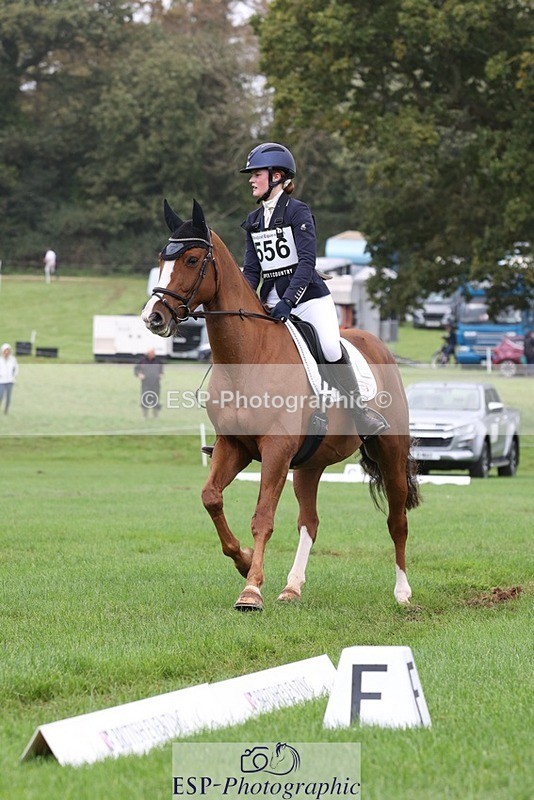 231019-153803-04960 - 556-SHANNONDALE.MOCHA-Lucy.Davies-DR