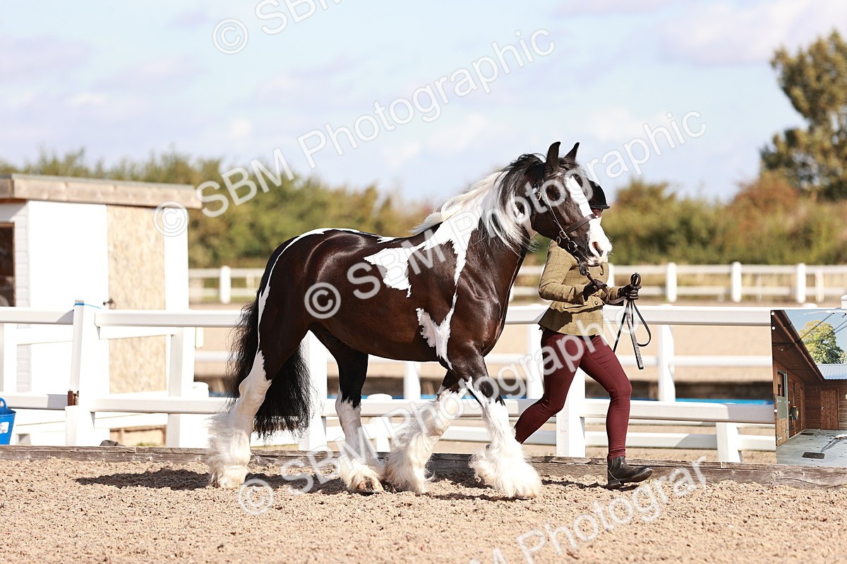 SBM_12576 - Class 404 - IH Traditional - Native Cob