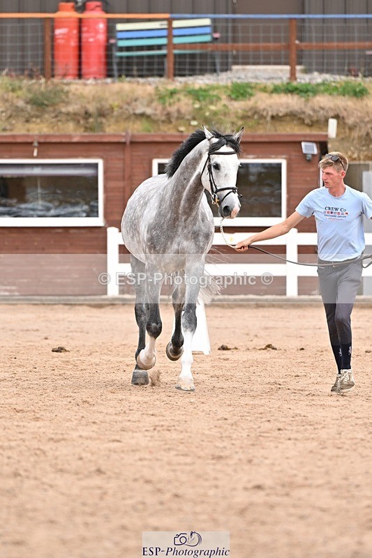 250716-152902-01957 - Trot Up 2.30 to 3.30