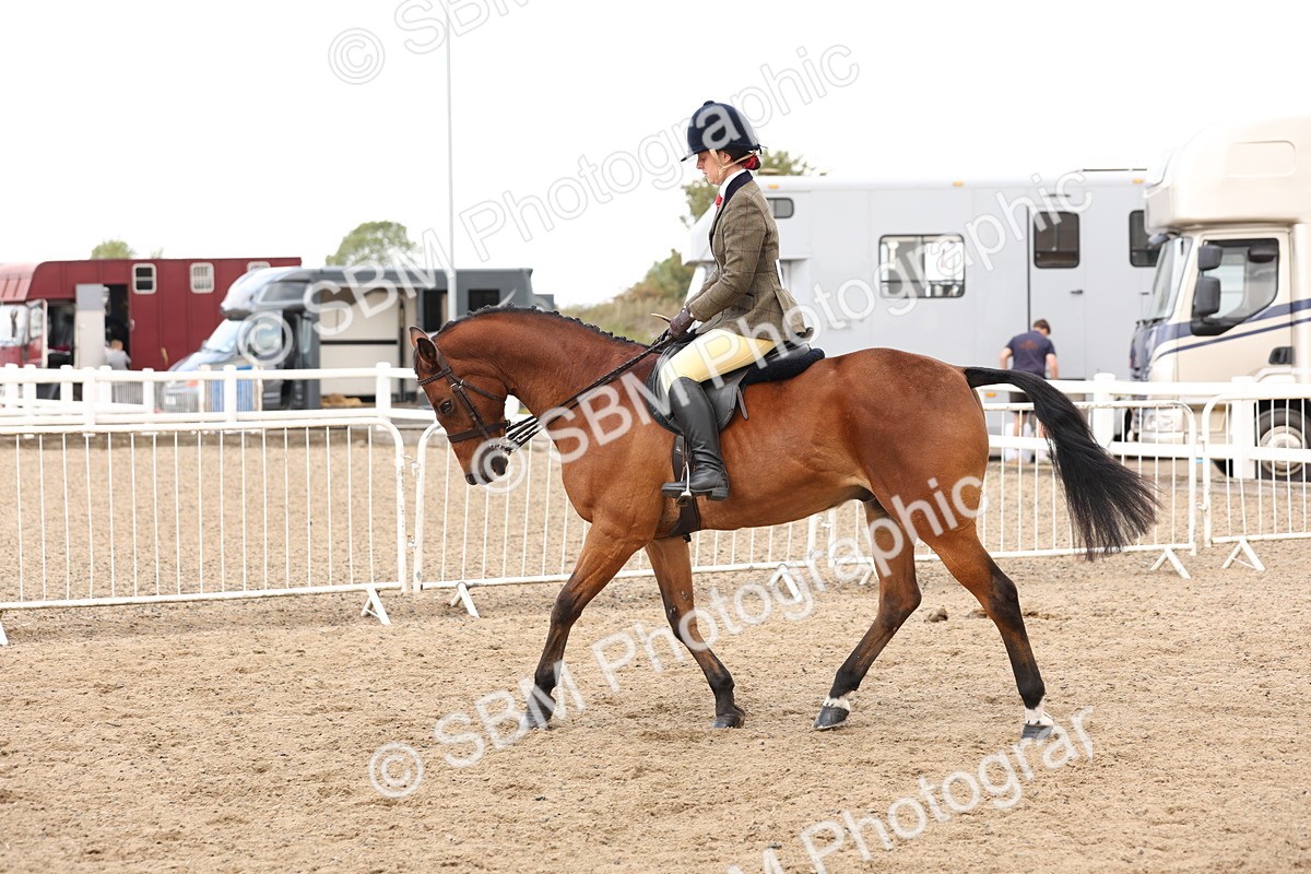 SBM_04217 - Class 54 - Riding Club Horse/Pony