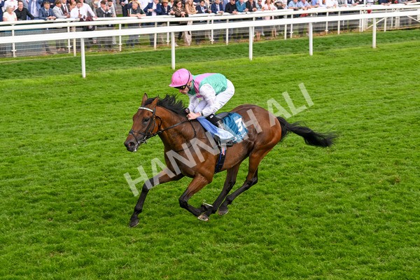 170524-Race 5-Lead Artist-8335 - Race 5 4.15pm  Darley EBF Novice Stakes