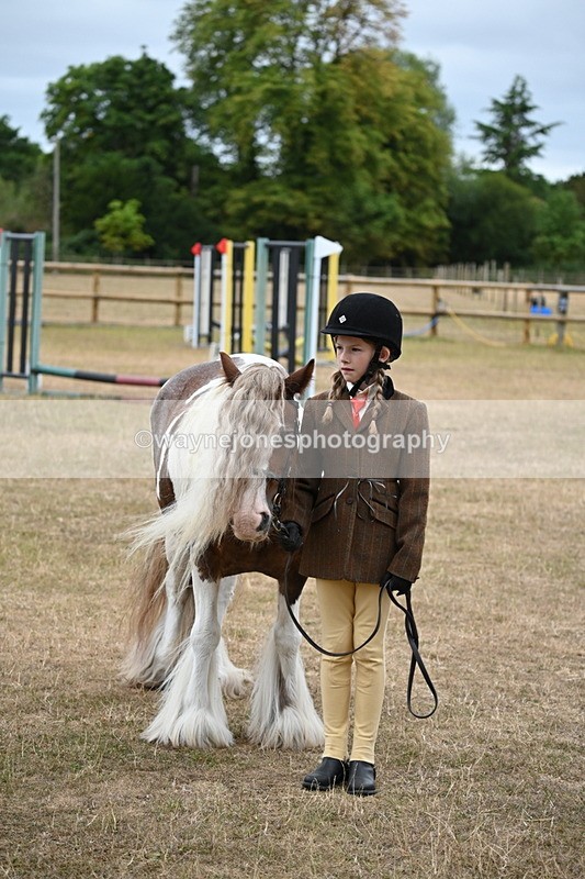 WJ6_8231 - Class 10 Coloured in Hand