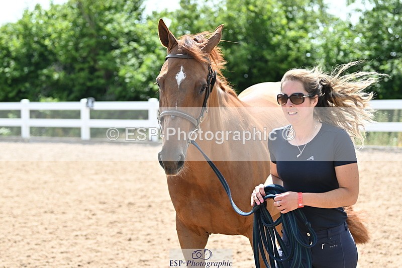 240717A-150023-02427 - Trot Up 3pm to 4pm