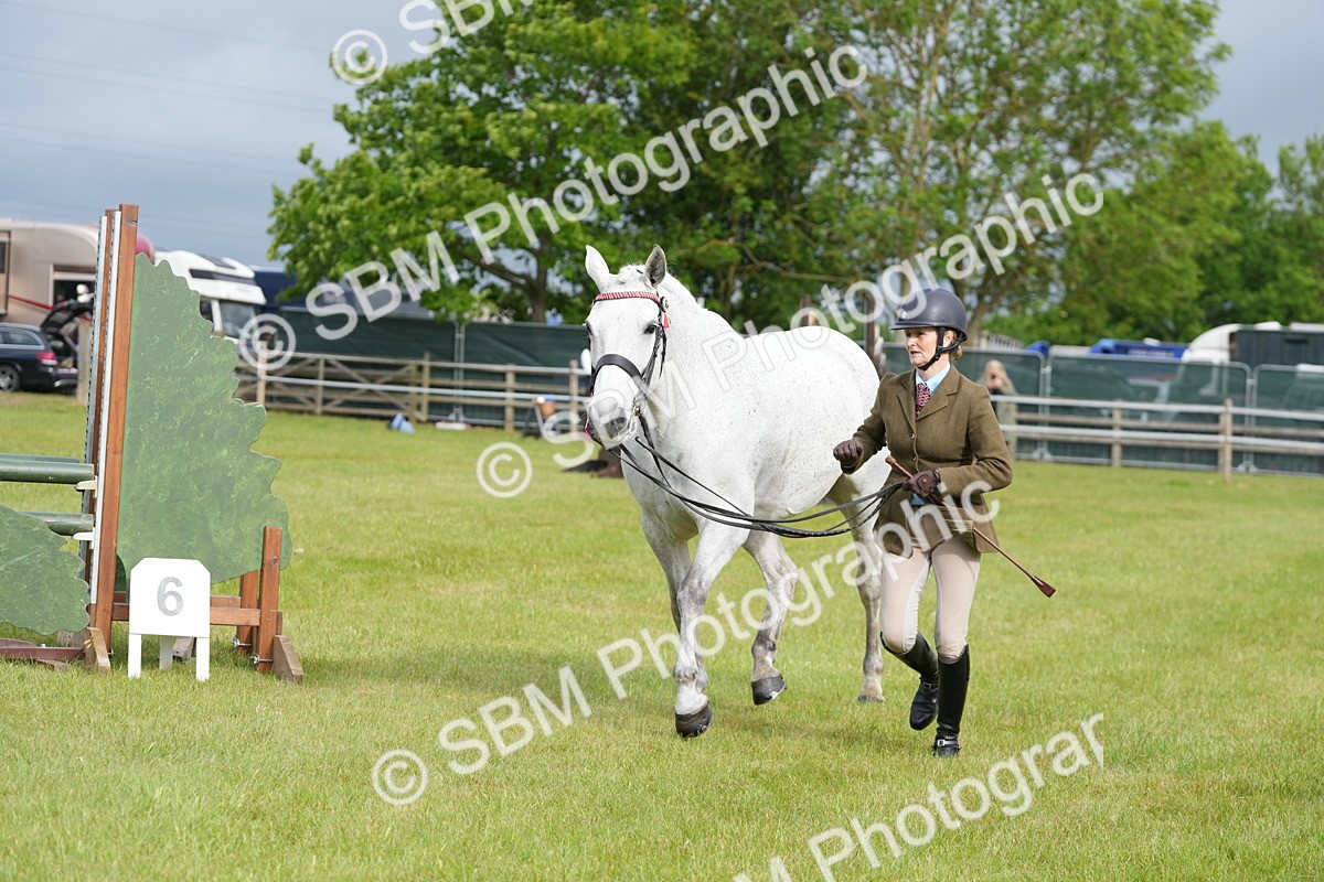 SBM_10621 - Class 97-98 - LIHS BSHA Rising Star Working Show Horse Hunter