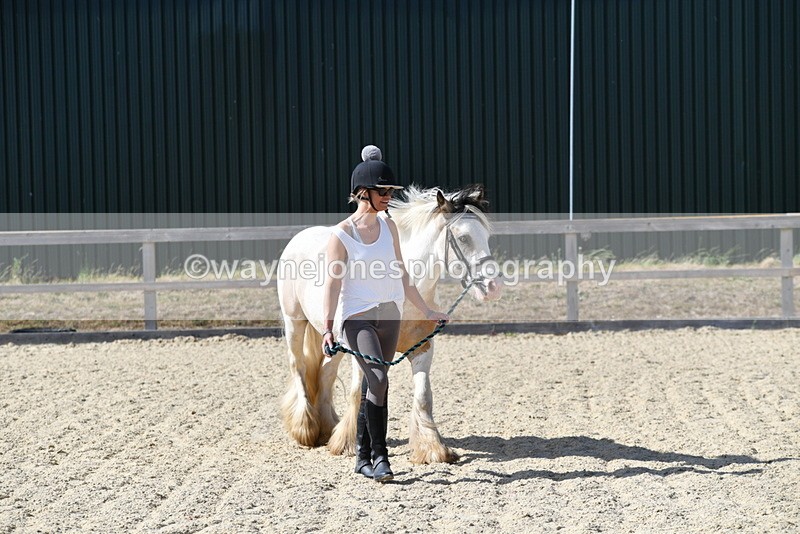 WJ5_5442 - Poles on the Floor