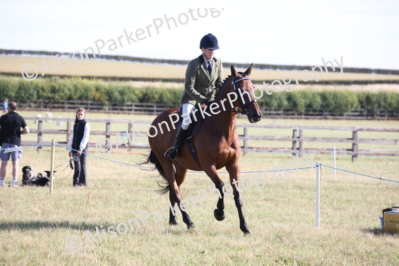 20260906-0355 - Class 14 - Ex Racehorse