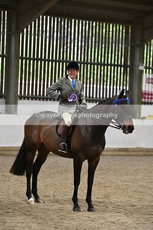 WJ7_4385 - Class 17 Ridden Cob