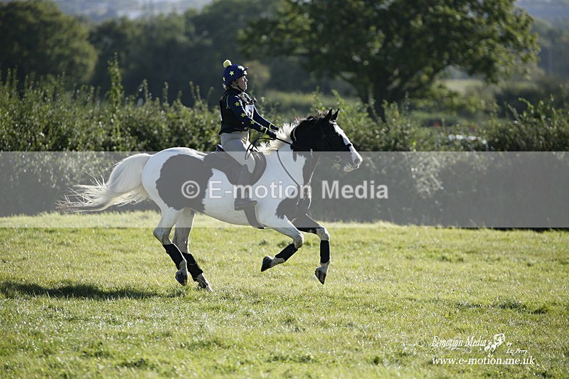  WWHT 031021 688 - WWEC Novice Restricted (0.80m) 18/10/20