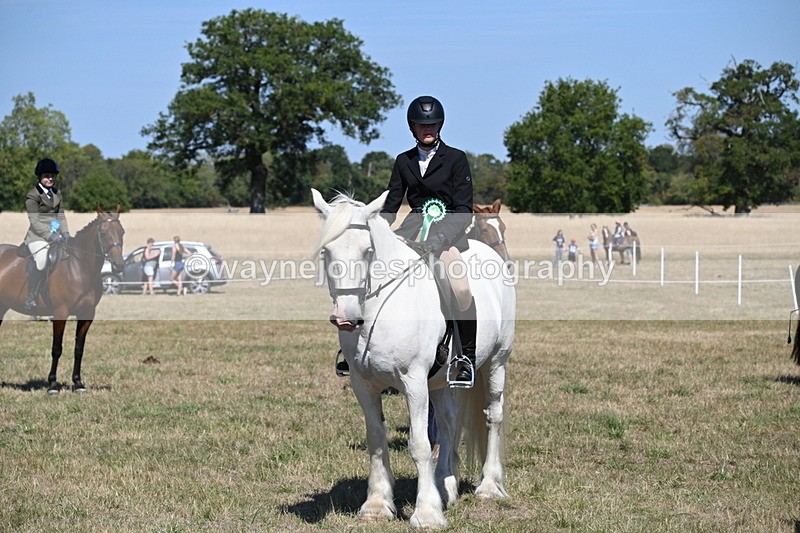 WJ6_8522 - Class 37a Best Loan Pony Ridden