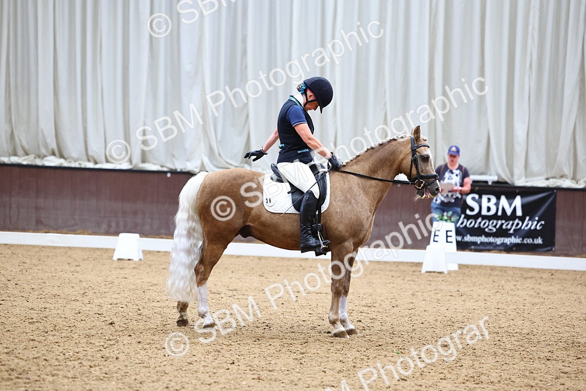 SBM_005558 - Elementary 2