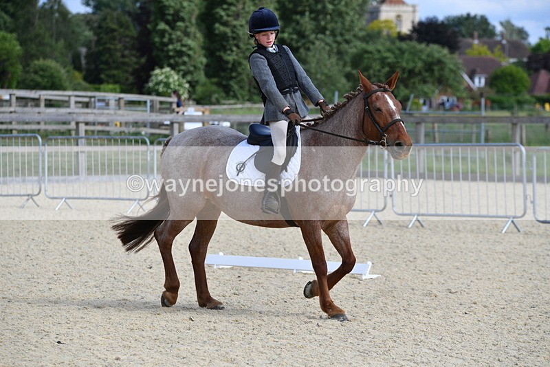 WJ5_7552 - Time 16:25 to 16:37