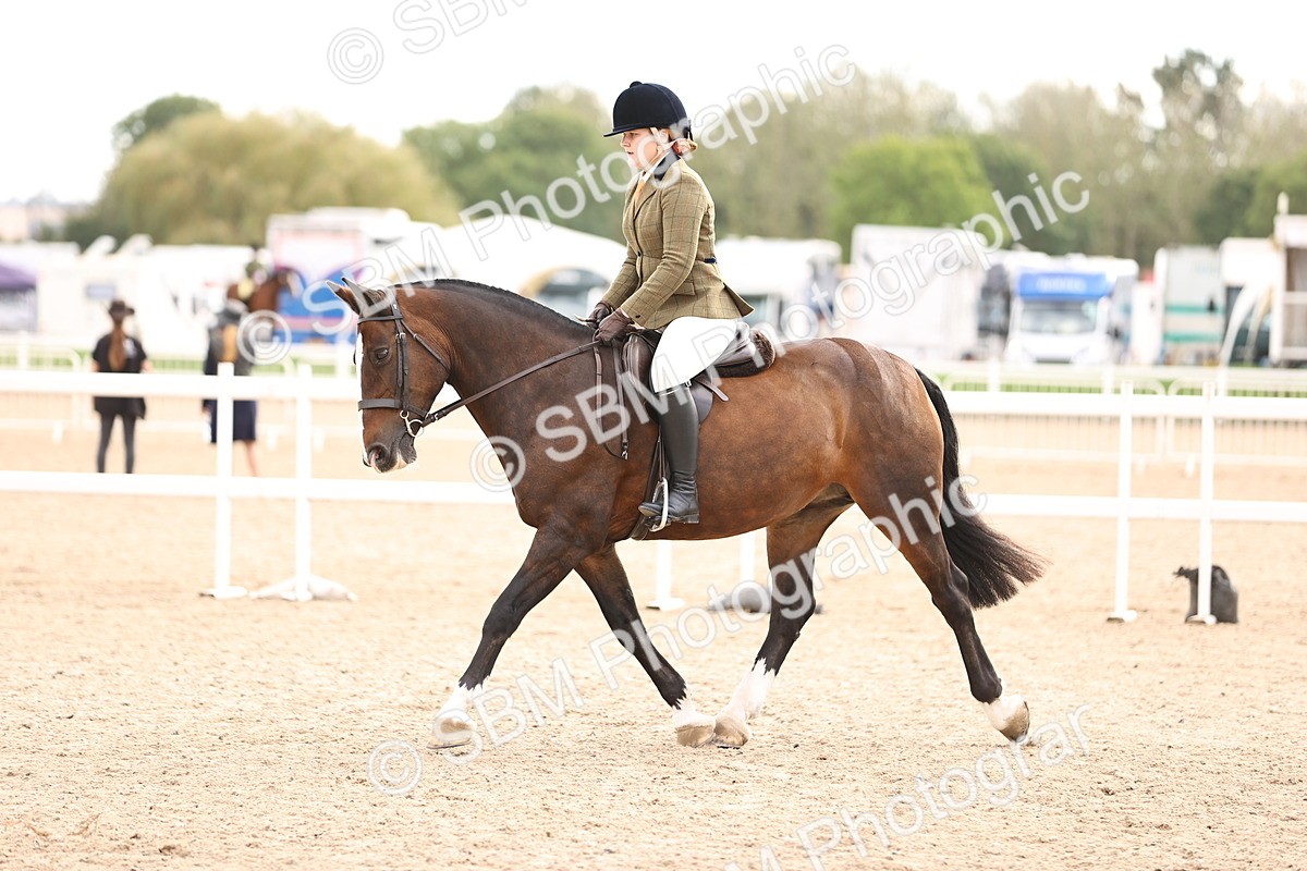 SBM_18082 - Class 422 - Equitation (Best Rider) Jnr