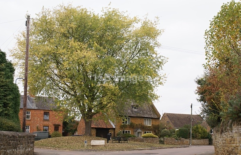 Harpole - Northamptonshire