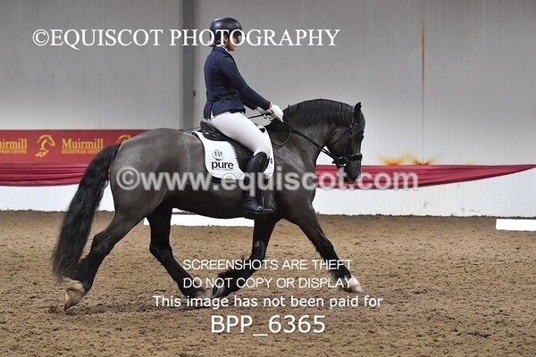 BPP_6365 - 37 Ellis Simister