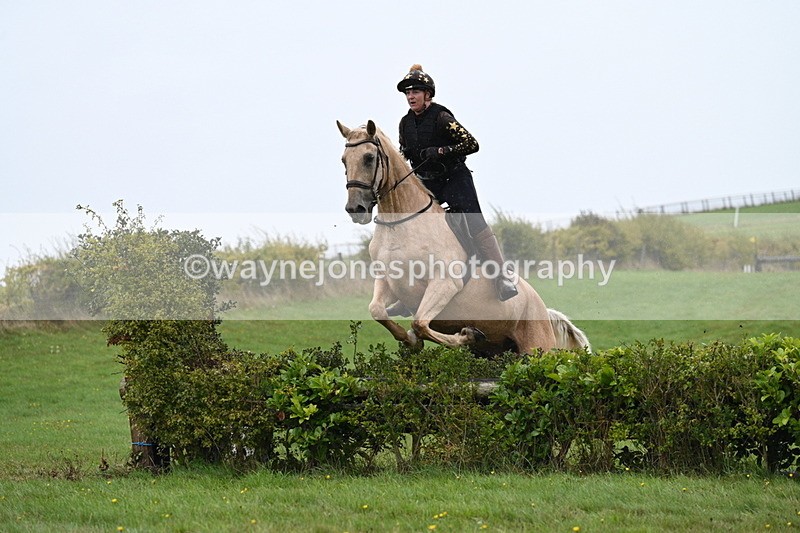 WJ7_9217 - Time 14:01 to 14:20