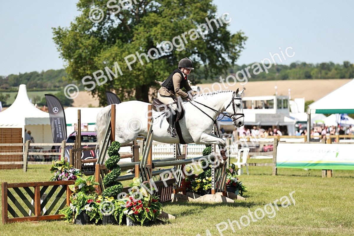 SBM_18290 - Class 112-113 - BSPS LIHS Working Sports Pony