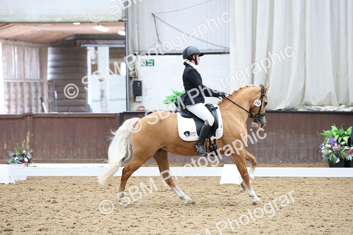 SBM_007547 - Class 23 - Medium FSM Bronze