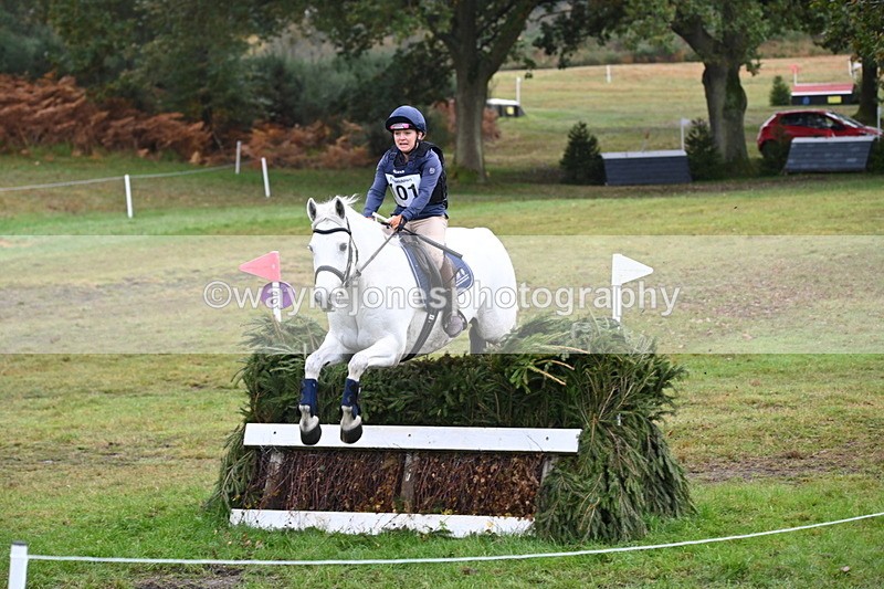 WJ6_1629 - 80cm Cam 1 Time 10:08 to 10:45