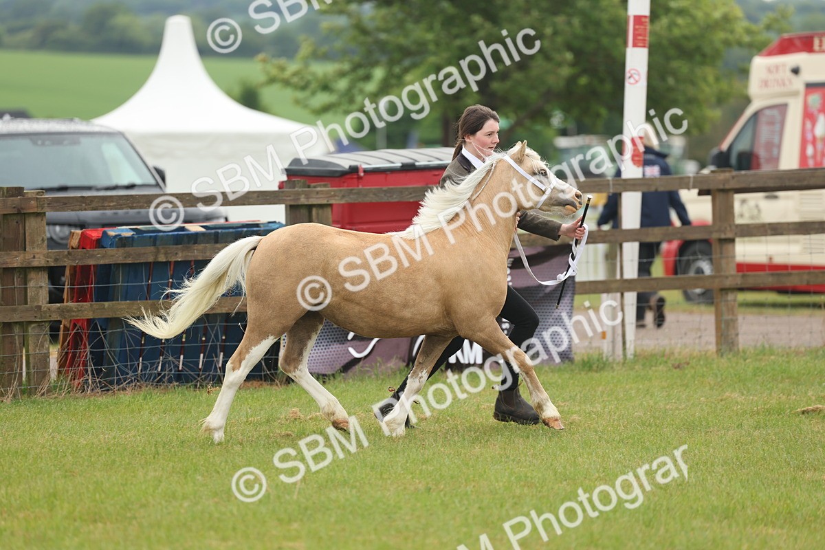 SBM_01349 - Class 50-57 - M&M Welsh Pony In Hand