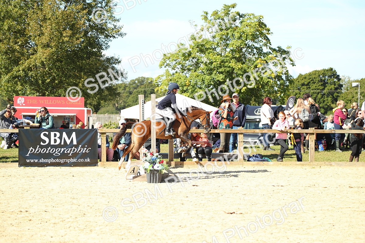 SBM_39303 - J6 - Junior Pony 55cm Championships