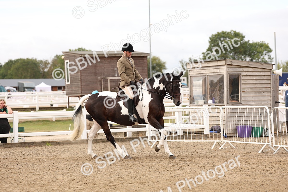 SBM_02817 - Class 53 - Ridden Competition Horse/Pony