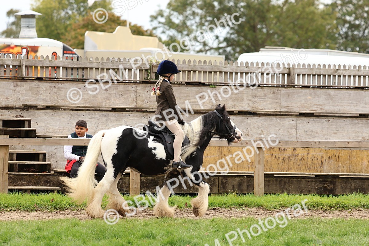 SBM_64414 - S58 - Coloured Pony Ridden