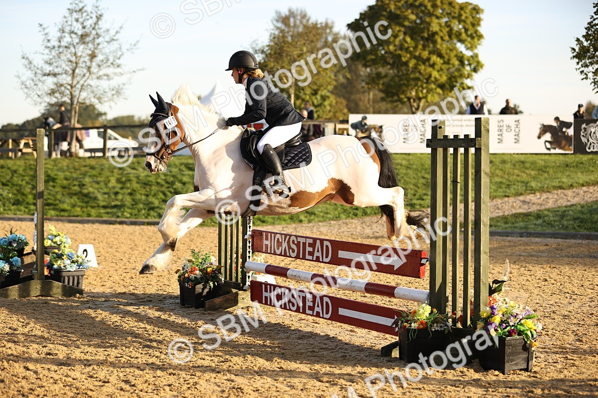 SBM_33020 - J38 - Senior 80cm Championship
