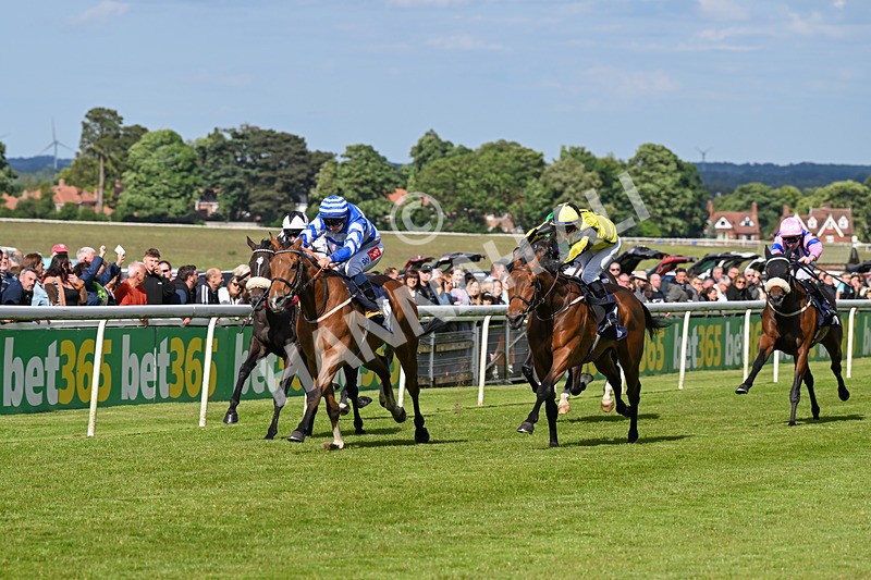 080624-Race 7-This Years Love-2032 - Race 7