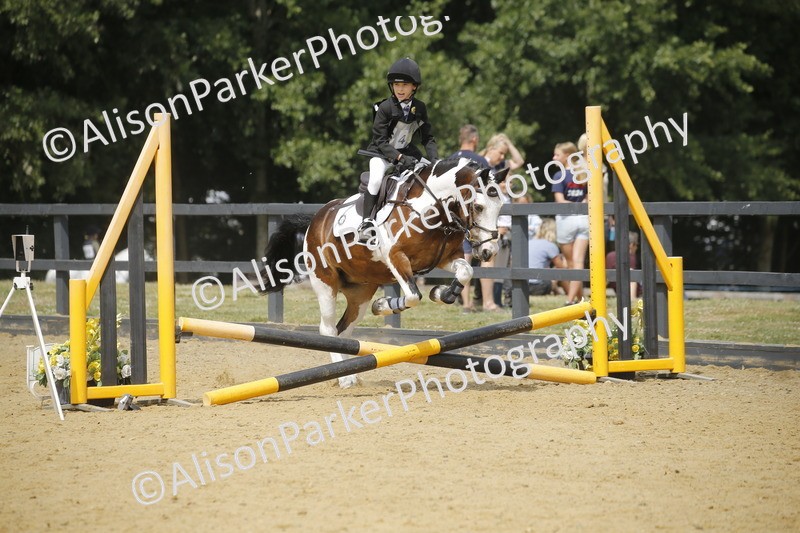 20250622-4120 - 50cm