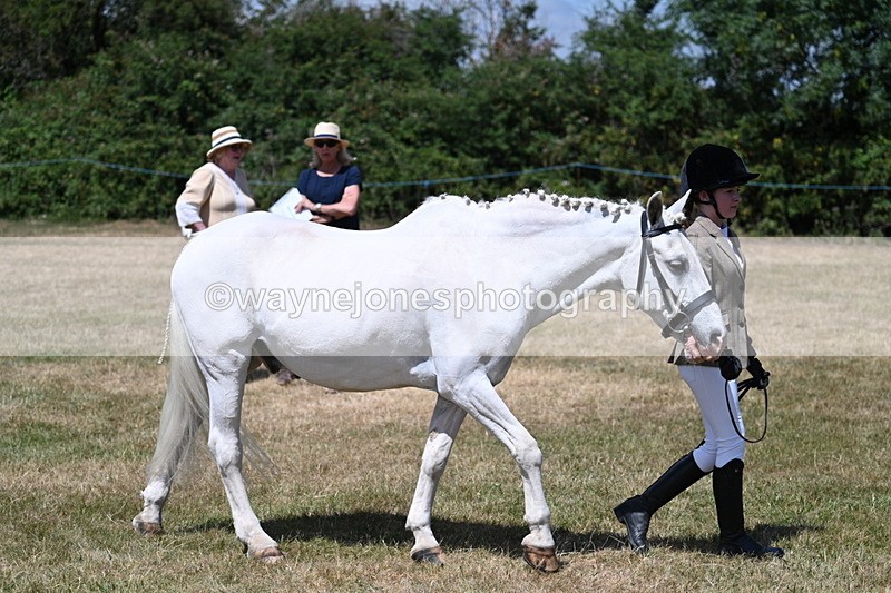 WJ7_2207 - Class 5 Most Handsome Gelding (up to 14.2hh) in hand