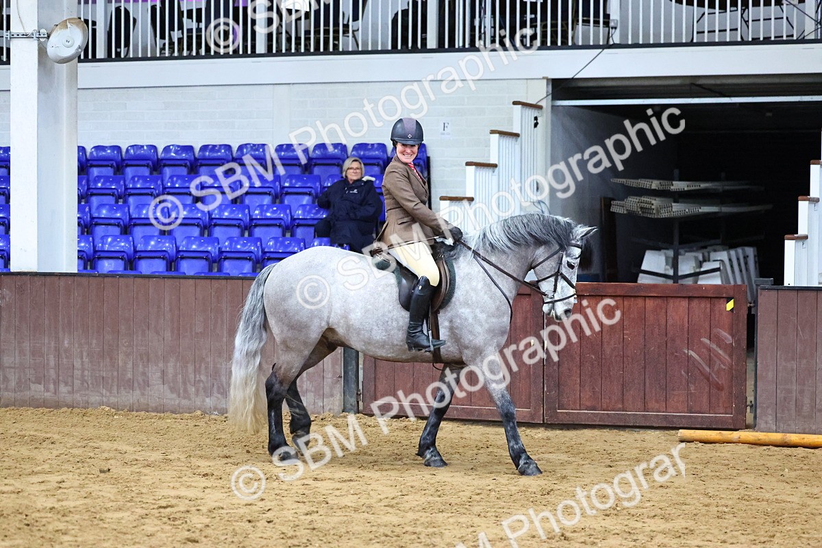 SBM_003584 - Class 37 - 80cm Training Stakes