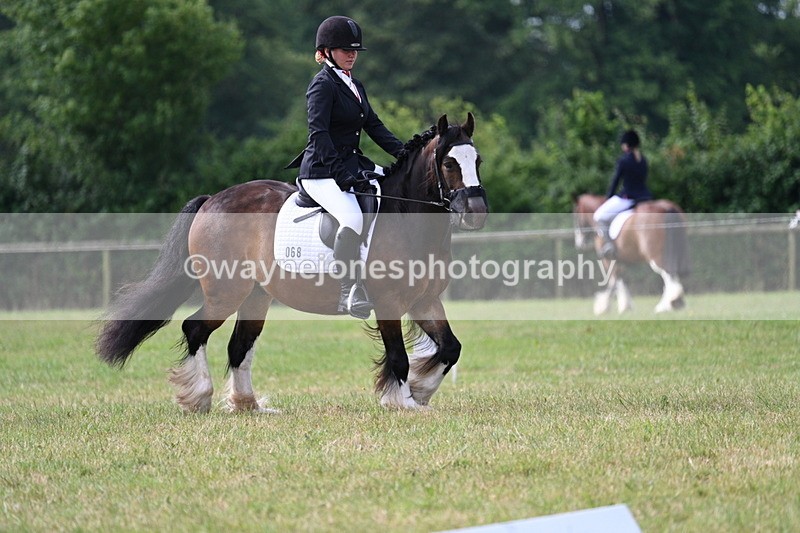 WJ7_1541 - Time 09:00 to 09:22