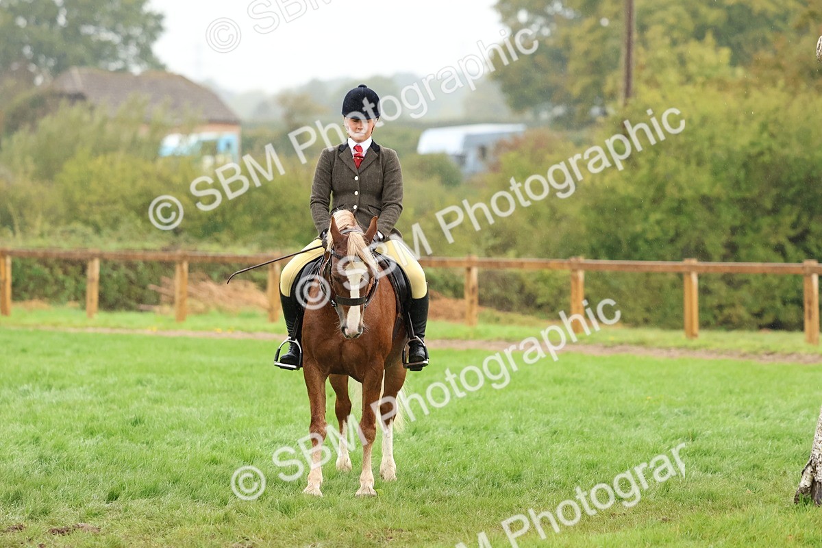 SBM_69713 - S62 - Mountain & Moorland Ridden Large Breeds