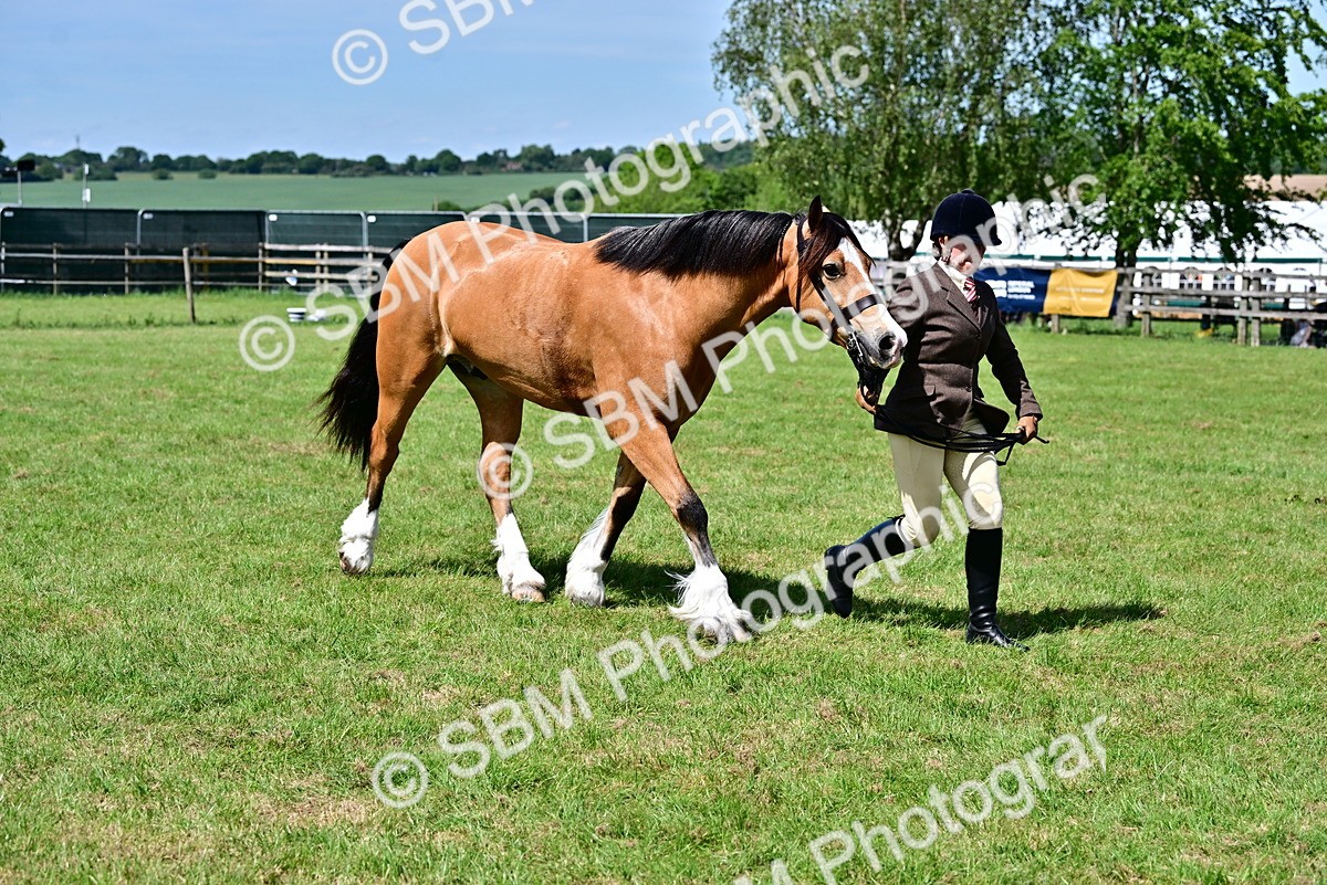 SBM_08075 - Class 61-62 - TSR  M&M Ridden Amateur of the Year