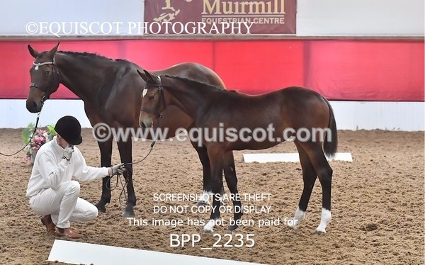 BPP_2235 - AFTERNOON 12.30 - 3.30PM