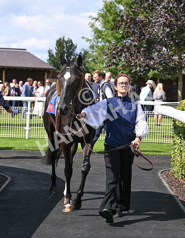 220826-129 Puerto Rico - Race 3 15.00pm Sky Bet City Of York Stakes