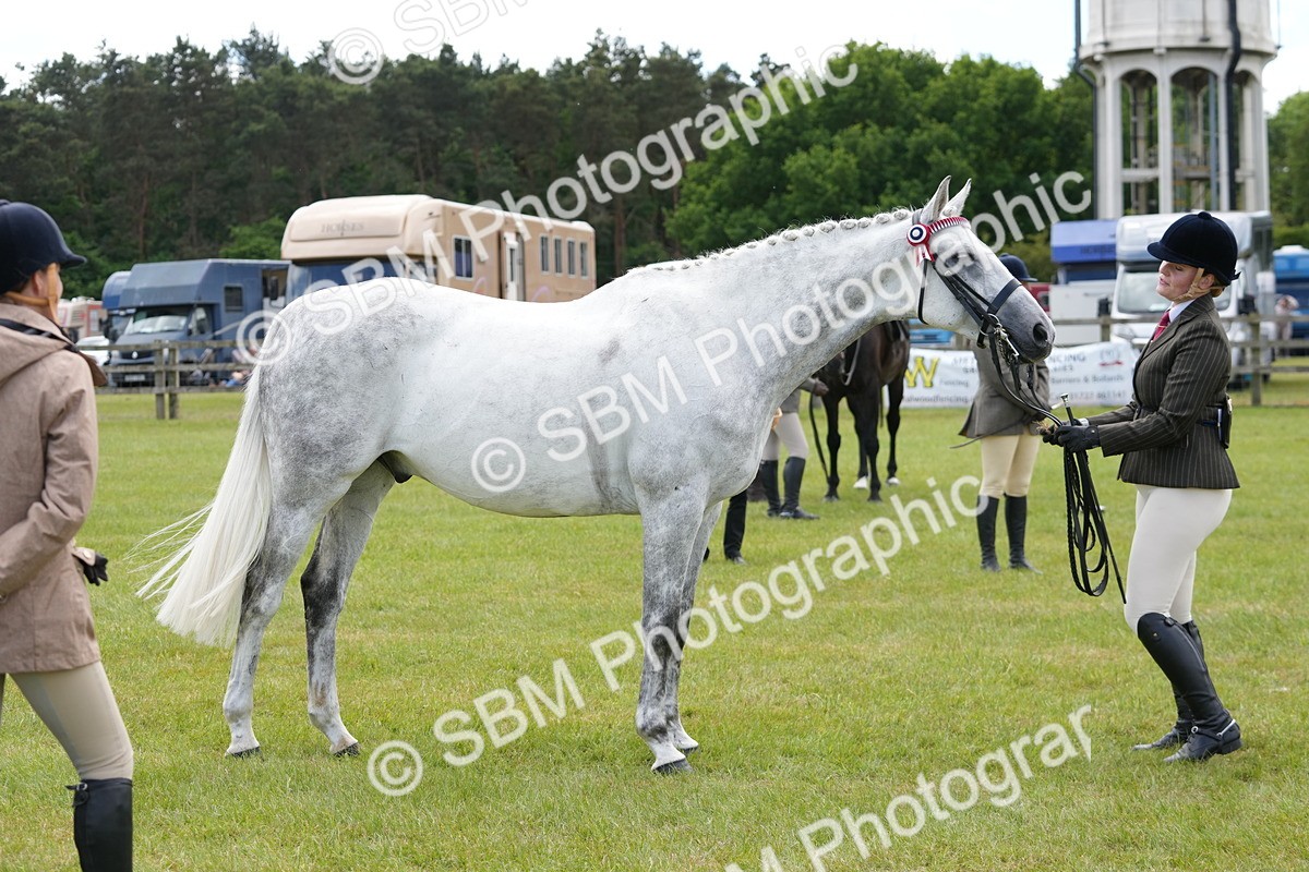 SBM_16214 - Class 105-106 - RIHS Riding Horses