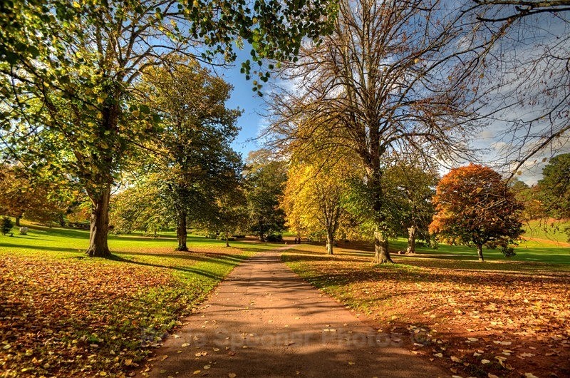 Autumn at Cockington - Cockington