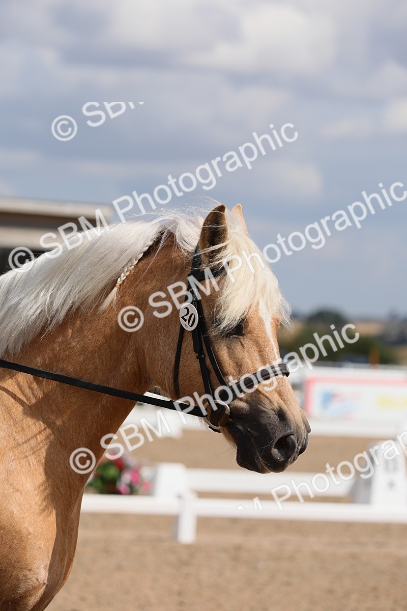 SBM_04035 - Class 31 Prelim 1